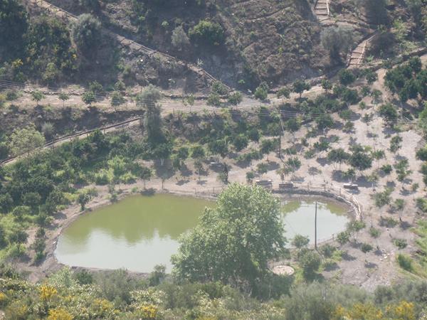 Βοτανικό Πάρκο,Botanical Park Chania