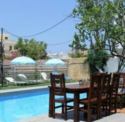 Tree Of Life art hotel