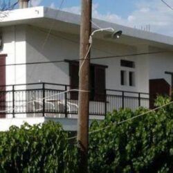 Oasis studios
