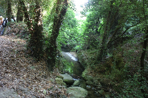 faragi Diktamou